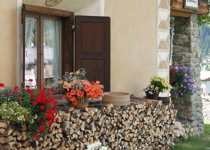 Apartment Chesa Viletta *