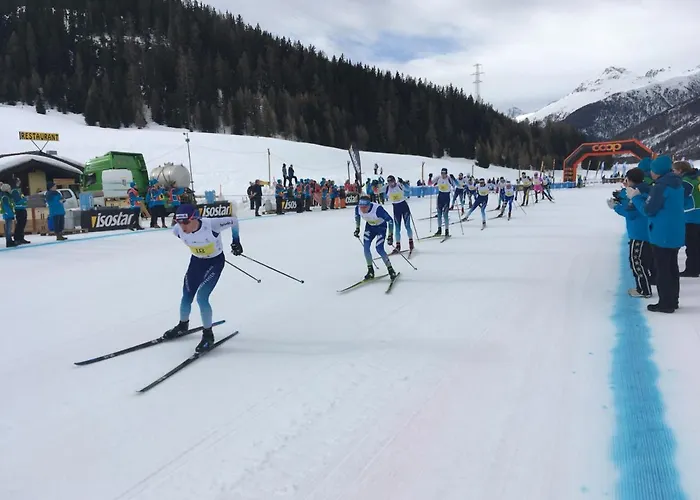 Apartamento Chesa Viletta *